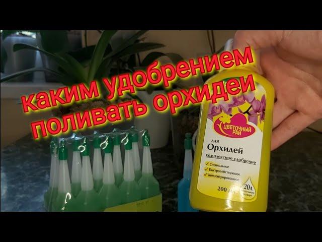 Готовлю ОРХИДЕИ к Пышному цветению Лучшее удобрение для ПЫШНОГО ЦВЕТЕНИЯ ОРХИДЕЙ