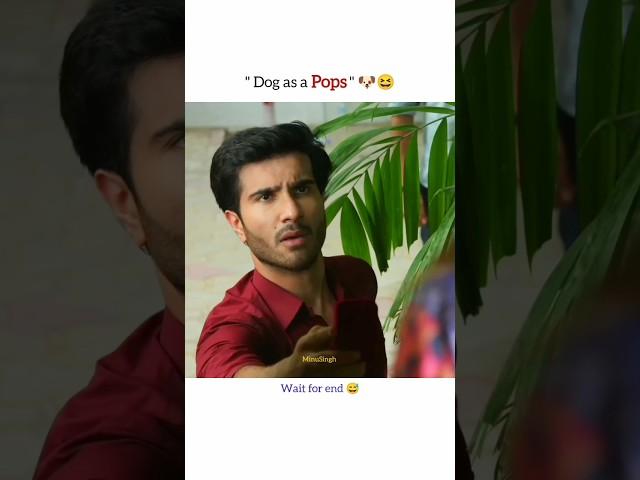 Dog as a pops #aliansari #ferozekhan #pakistanidrama #ytshorts #funny #viral #shorts #dog #laugh