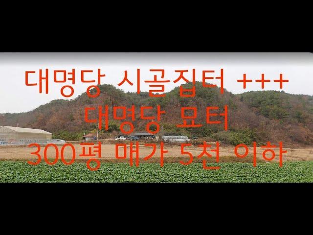 매가 5000이하, 경상도 대명당 집터와 대명당 묘터가 함께 있는 신비로운 시골집.