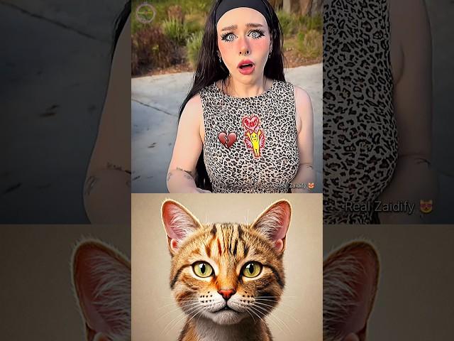 It was an accident  #cat #memes #dance #trending