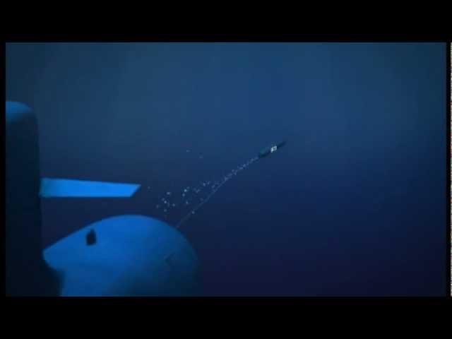 F21 Submarine Launched Heavyweight Torpedo - DCNS