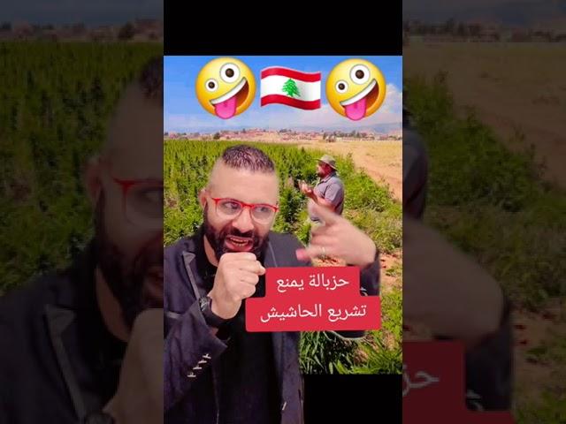 مزارع لبناني يشكرالله على نجاح موسم الحاشيش وشاهد لماذا لم يقبل الحزبالة بتشريع هذه النبتة 