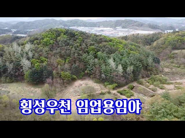 541. 횡성 우천면 임업용임야(가격조정가능) / #횡성 임야