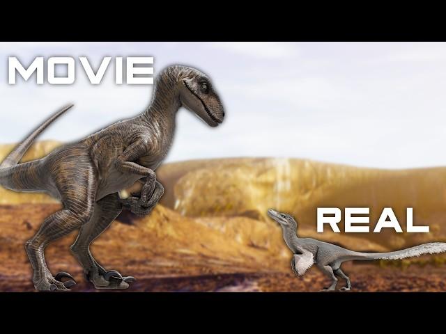 How Accurate Was The Jurassic Park Velociraptor? (COMPARISON SHOWCASE)