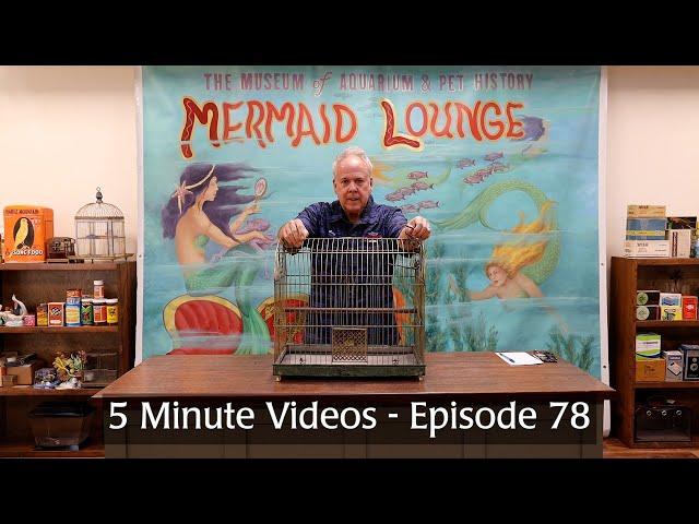 5 Minute Videos - Episode 78