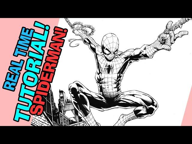 How To Draw David Finche's SPIDERMAN! *Real Time Draw Along!*