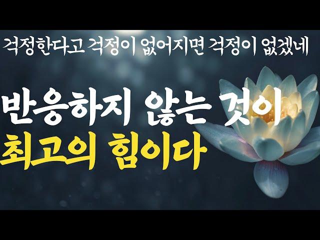 더 이상 자책, 후회, 우울을 반복하지 않는 법|최후의 승자가 된 사람들|언제까지 사과를 계속해야 하나요?|노년의지혜|부처님말씀|석가모니|ASMR|불교|법륜|법정|인생조언