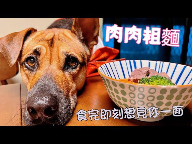 EP 18 肉肉粗麵~狗都可以食湯麵~難唔難整先？容易到唔好意思教人整~齊晒狗狗鮮食嘅比例~