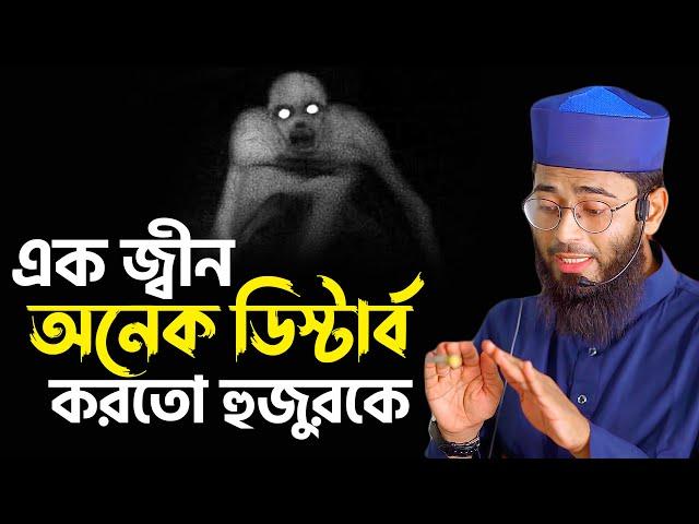 এক জ্বীন অনেক ডিস্টার্ব করতো হুজুরকে | হুজুরের নিজ মুখেই শুনুন | Abrarul Haque Asif