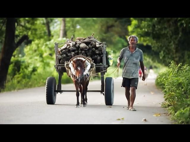 India: Vertigo at the End of the World | Deadliest Journeys