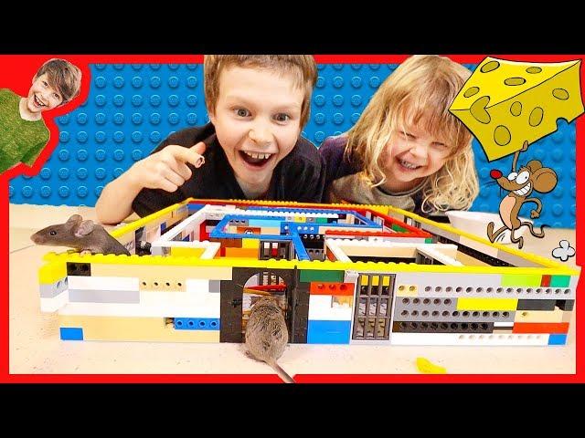 MAKING A LEGO MAZE FOR REAL MICE!