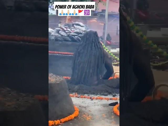 power of aghori baba #shorts #sanatandharma #aghori