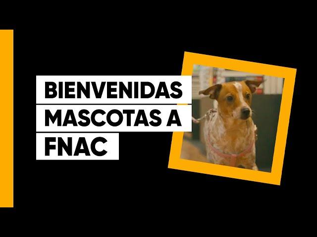 Video Spot Bienvenidas Mascotas a Fnac. Perros. Gatos.