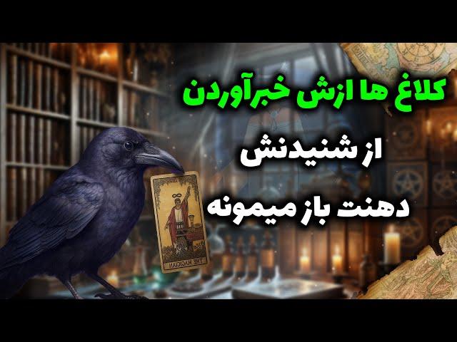 شراره تاروت کوچینگ - کلاغ ها ازش خبرآوردن از شنیدنش دهنت باز میمونه