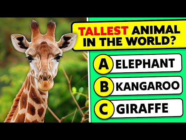 General Knowledge Questions About Animals!  Animals Knowledge Trivia Questions and Answers