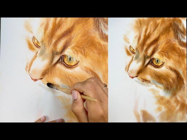 Ginger cat realistic painting in watercolor