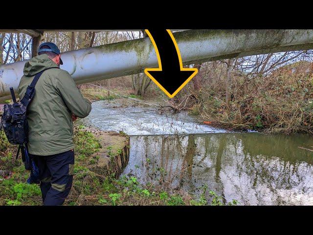 Fishing a TINY SNAGGY Essex River (BFS River Fishing)