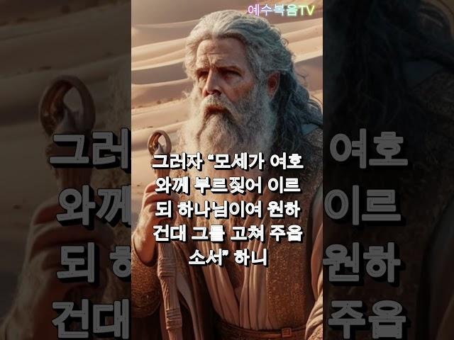 모세를 비방한 아론과 미리암 #성경이야기 #1분요약