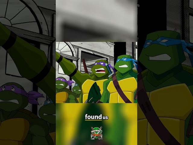 1987 - 2003 meet Original! #turtlesforever #ninjaturtles #multiverse #tmnt #deltronz #delzclipz
