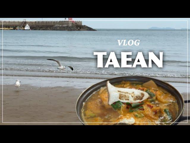 West Coast of South Korea, Taean｜Travel Vlog