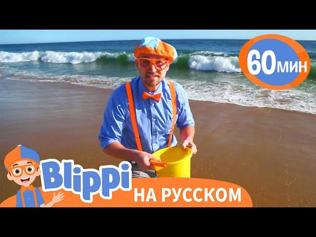 Учим цвета и счёт на пляже | Обучающие видео для детей | Blippi Russian