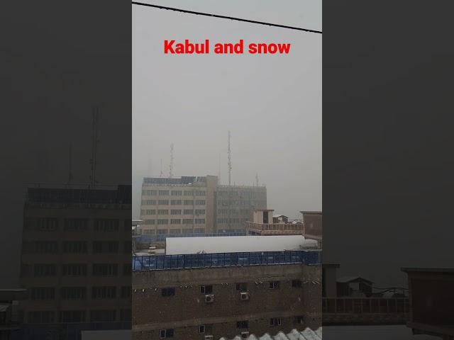 Snow ️ with kabul کابل برفی