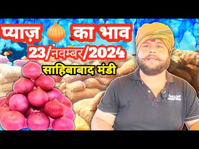 23/नवंबर/2024 प्याज का क्या रेट चला साहिबाबाद मंडी में देखे |today onion rates#market  #mandirates