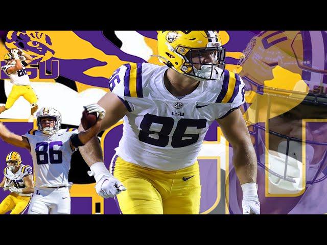 Mason Taylor Highlights || LSU Highlights || True Freshman || Tight End || 2022 through 2023 Season