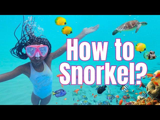 SNORKELING Tips for First-Timers / Families with Kids! [2025]