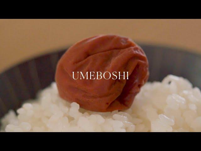 Umeboshi  Japanese pickled plums