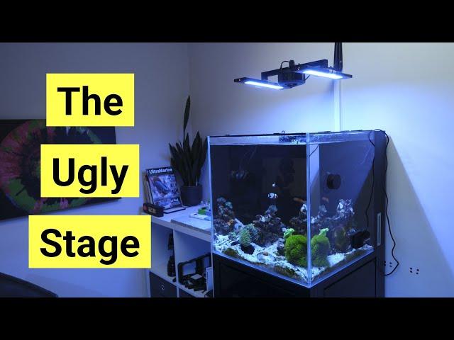 Nano Reef Tank First 3 Months: The Ugly Stage, Adding Fish & Corals And More! | Cade Nano Pt 2