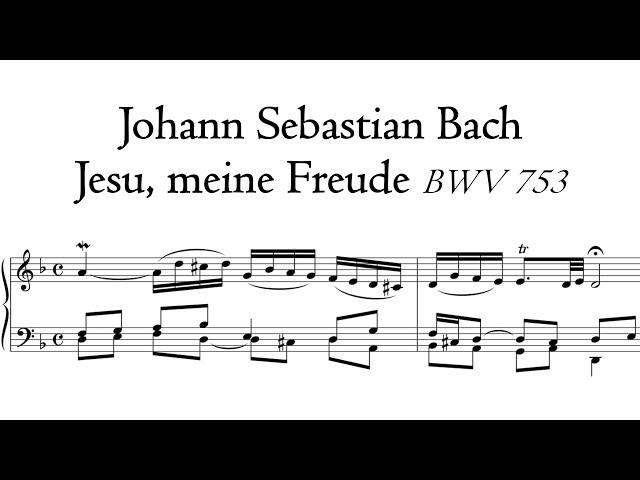 Bach - Jesu, meine Freude BWV 753 - Schnitger organ, Martinikerk, Groningen, Hauptwerk