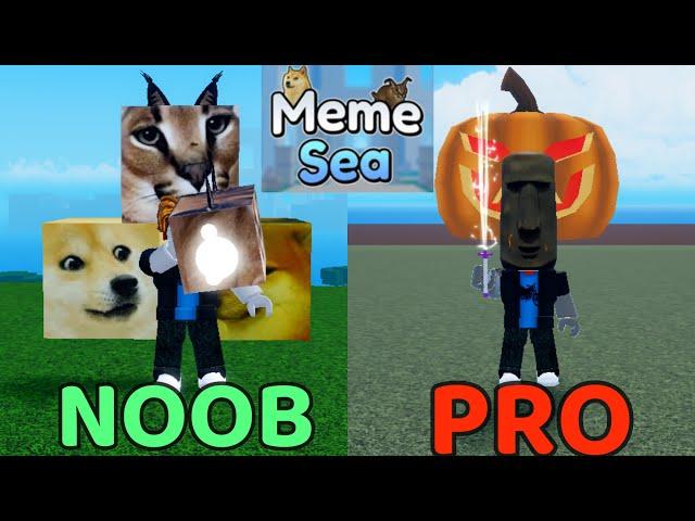 Noob To Pro In MEME SEA | Roblox