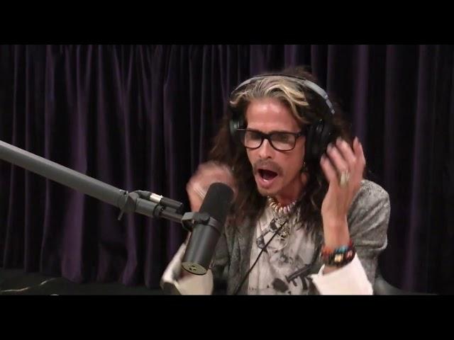 Joe Rogan - Steven Tyler on Finding Aerosmith's Sound