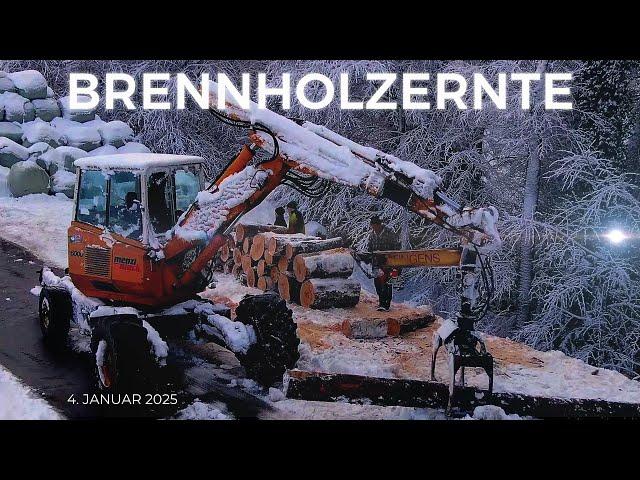 Brennholzernte mit einem alten Menzi Muck in verschneiter Landschaft oberhalb Siebnen