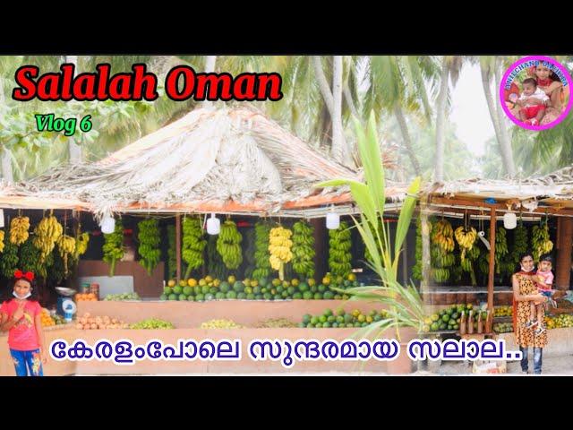 കേരളംപോലെ സുന്ദരമായ ഒമാനിലെ സലാല | OMAN SALALAH | TENDER COCONUT SHOP SALALAH | ANILCHAND OACHIRA