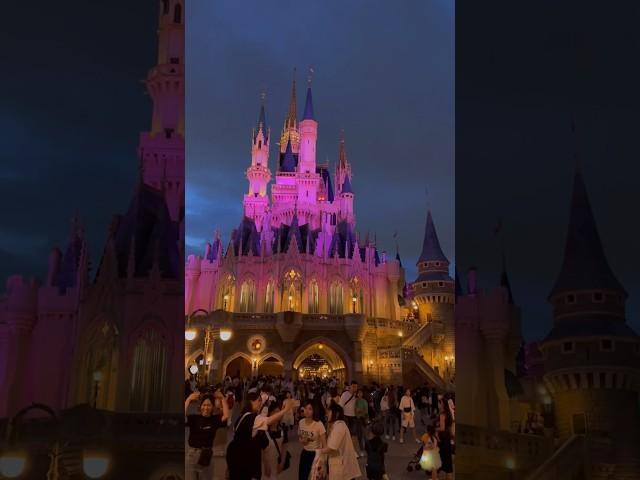 Disney world Токио обзор