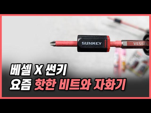 엑스강 하드비트 X 샤크자화기