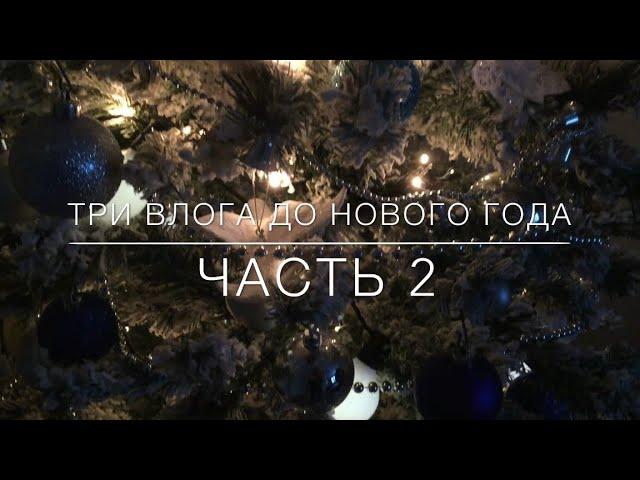 3 ВЛОГА ДО НОВОГО ГОДА || Часть 2