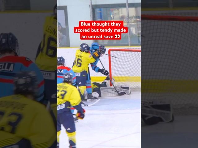 Are you calling this a goal?  #hockey