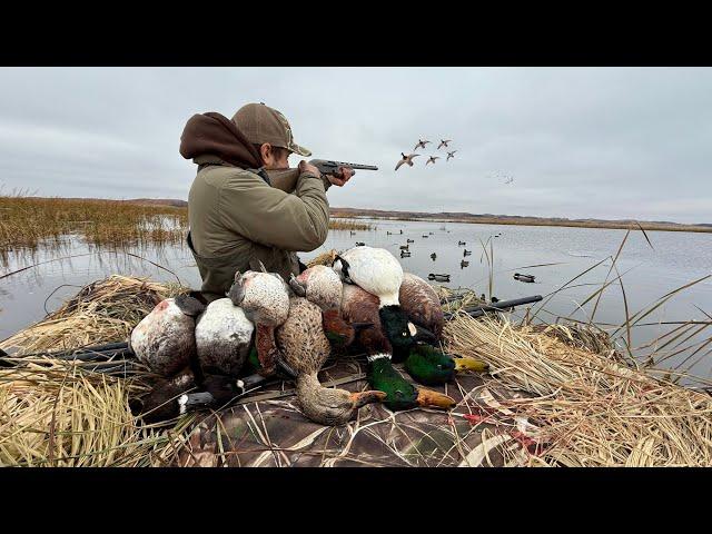 Mixed Bag Duck Hunting a Secret Lake!