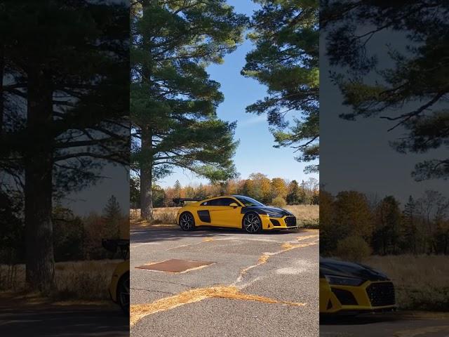 New Vegas Yellow Audi R8 In The Wild!