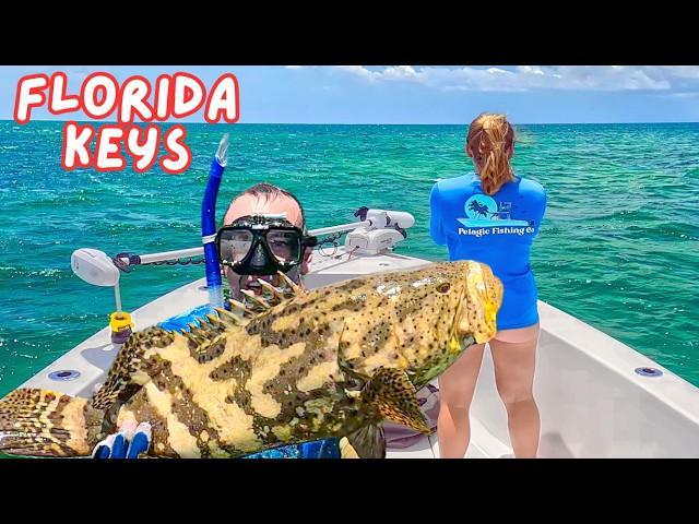 Grabbed Giant GROUPER By HAND!!! | Hogfish & Grouper Florida Keys Fishing