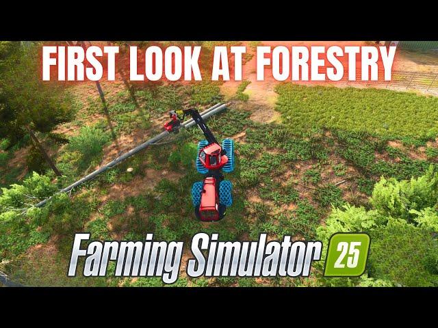 FIRST LOOK AT FORESTRY - Farming Simulator 25