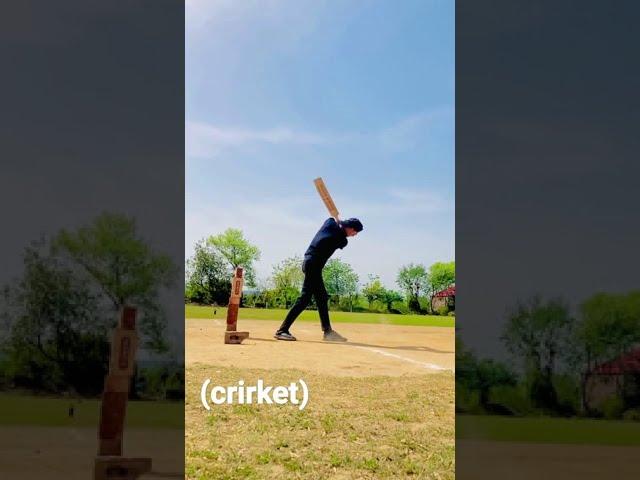 crirket lover
