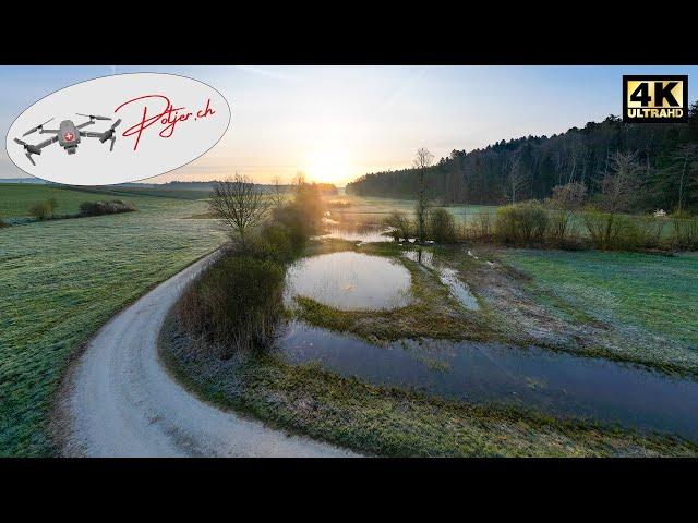 Nature reserve in morning mist - Längmoos Grossaffoltern Bernese Seeland Switzerland by Air 4k