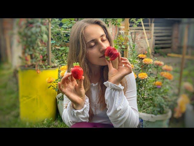 Picking Up the First Harvest in Belarus