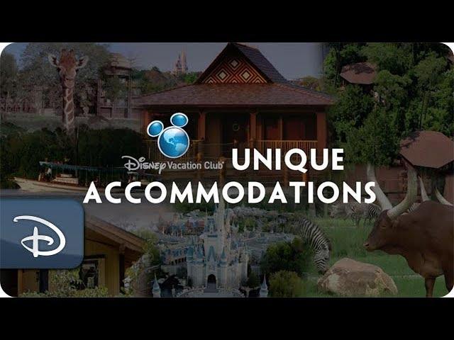 5 Unique Disney Vacation Club Accommodation Options