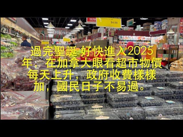 很快又到2025年，加拿大人最關心的是民生問題，生活實在不易爲。   HD 1080p