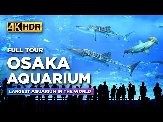 Full Tour of OSAKA AQUARIUM Kaiyukan | Explore One of the LARGEST Aquariums in the World!【4K HDR】